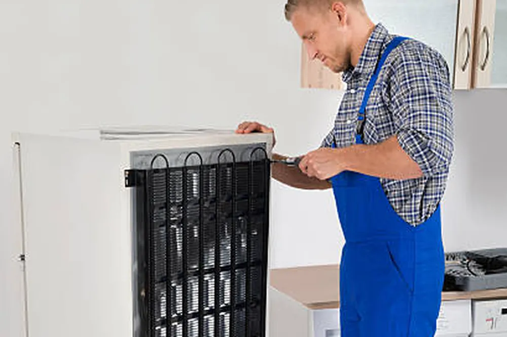 كندنسر خلفي على ثلاجة شارب أثناء التنضيف